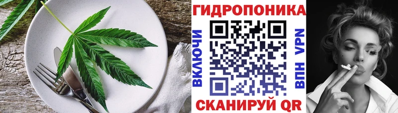 Cannafood конопля  площадка как зайти  Богданович  omg рабочий сайт 