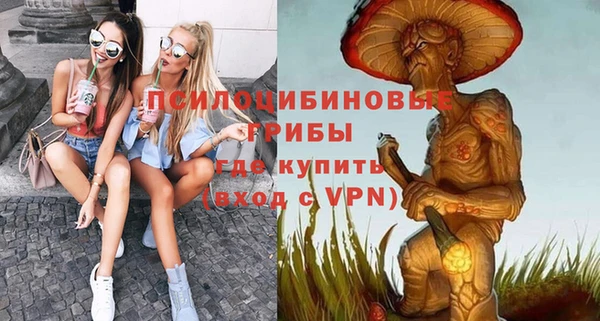 ALPHA PVP Алексин