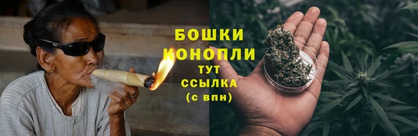 ПСИЛОЦИБИНОВЫЕ ГРИБЫ Алексеевка